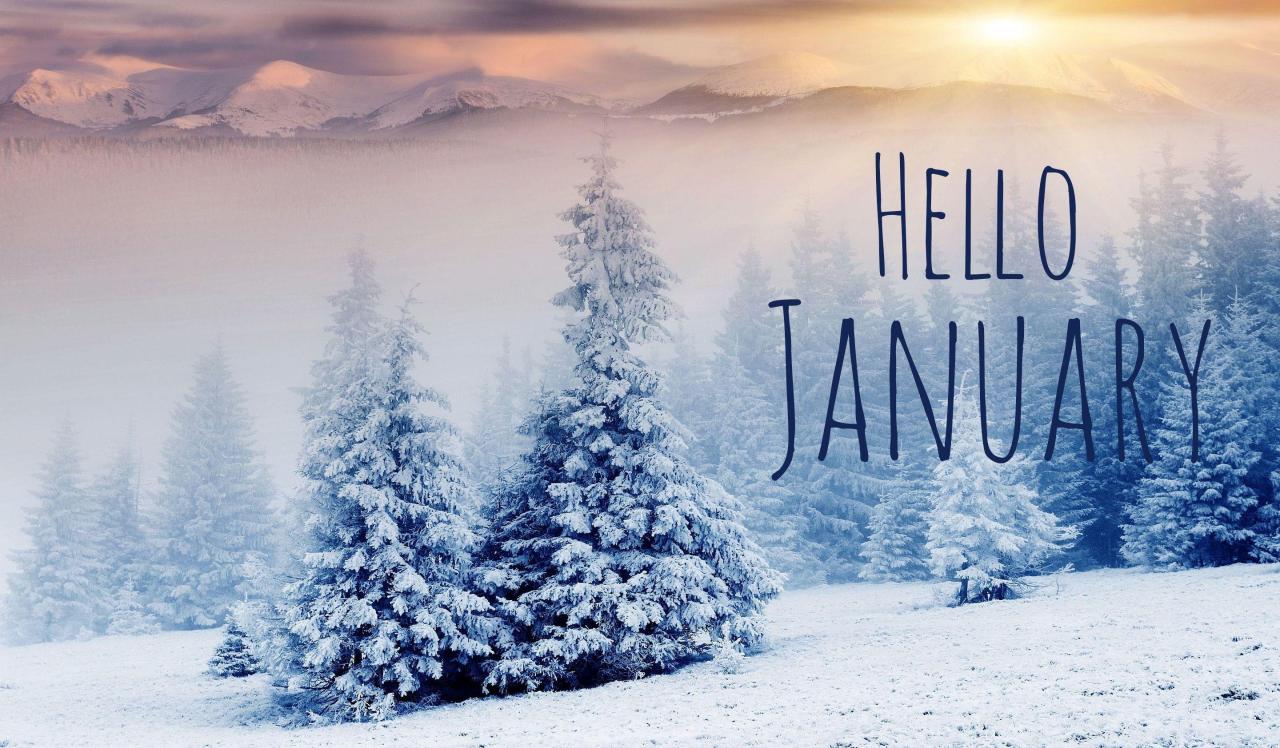 Igniting Inspiration: A Comprehensive Guide to January Bulletin Board Ideas