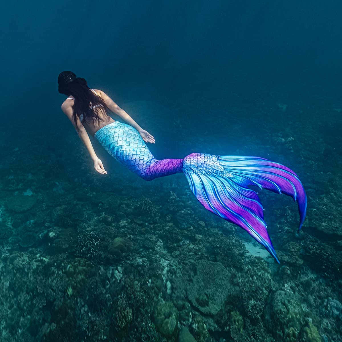 Dive into Enchantment: Ultimate Mermaid Birthday Party Ideas Dive into Enchantment: Ultimate Mermaid Birthday Party Ideas